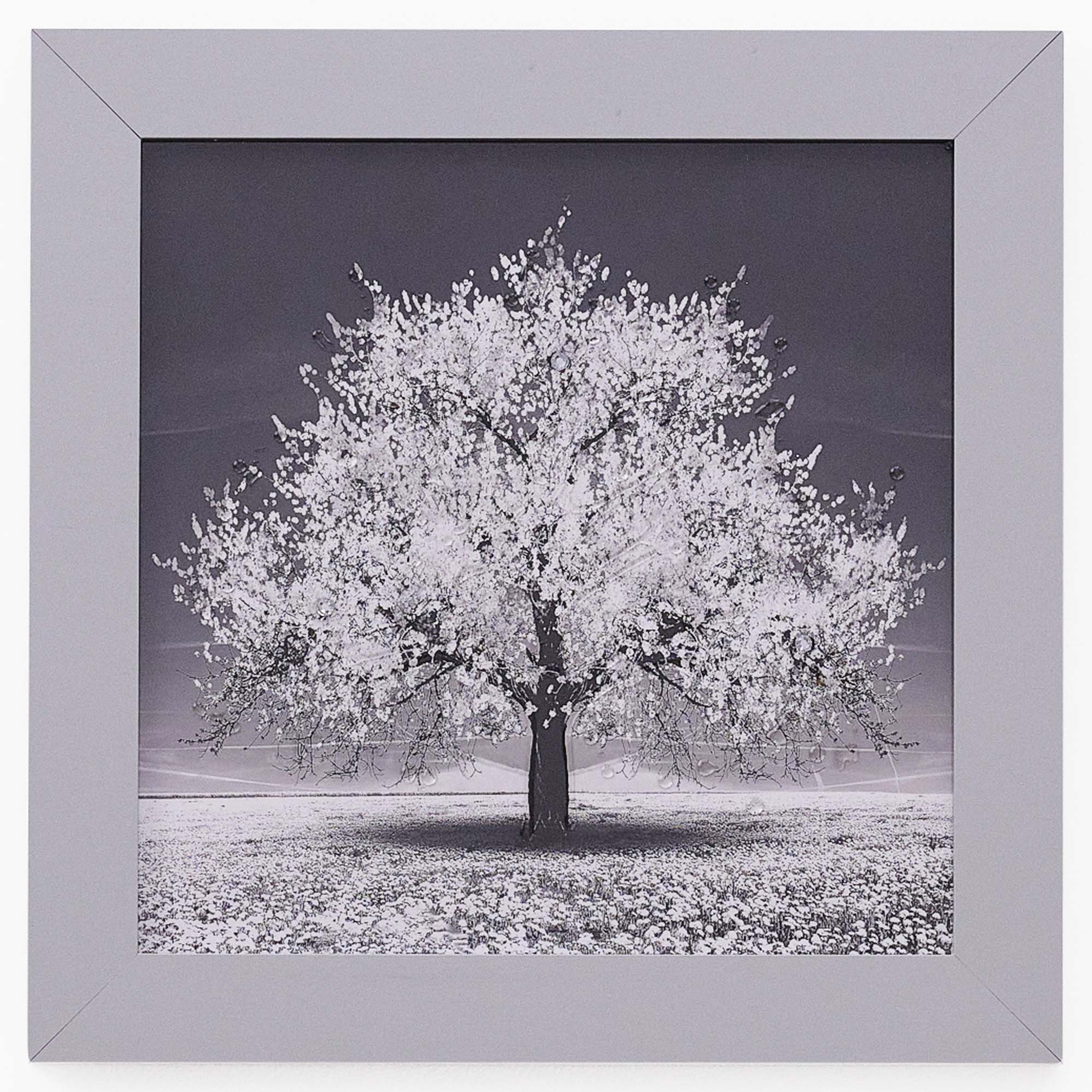 Silver Tree With Silver Frame Liquid Art - DISC Silver Tree 30x30 Liquid Art Accessories Sterling Home 2