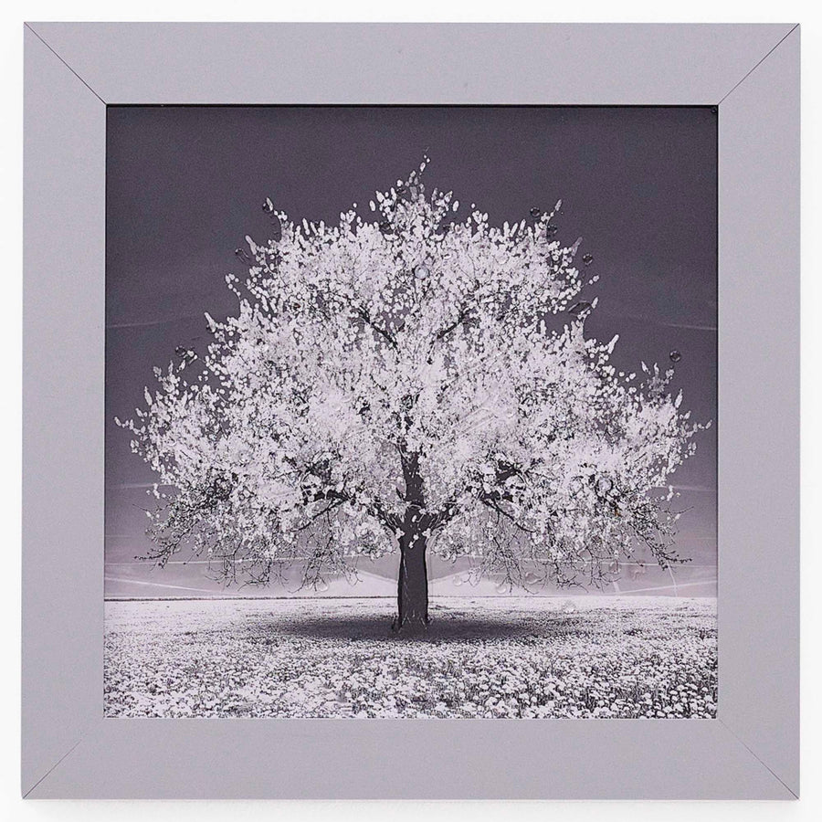 Silver Tree With Silver Frame Liquid Art - DISC Silver Tree 30x30 Liquid Art Accessories Sterling Home 2