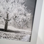 Silver Tree With Silver Frame Liquid Art - DISC Silver Tree 30x30 Liquid Art Accessories Sterling Home 3