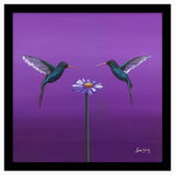 Two Hummingbirds Purple Framed Print