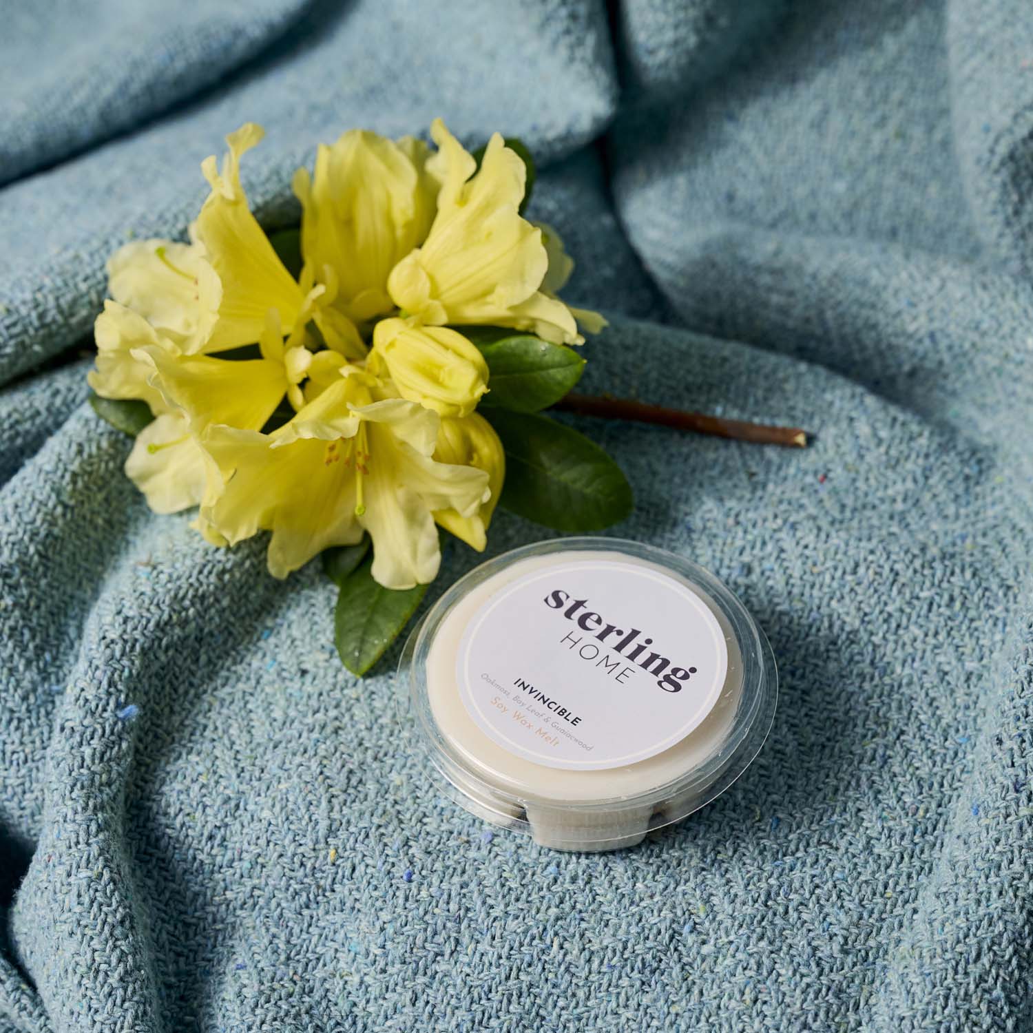 Sterling Home Fragrance Invincible Wax Melt - 50G Soy Wax Melt Invincible Accessories Sterling Home 1