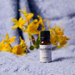 Sterling Home Fragrance Comfort Fragrance Oil - 10mL Fragrance Oil Comfort Accessories Sterling Home 1