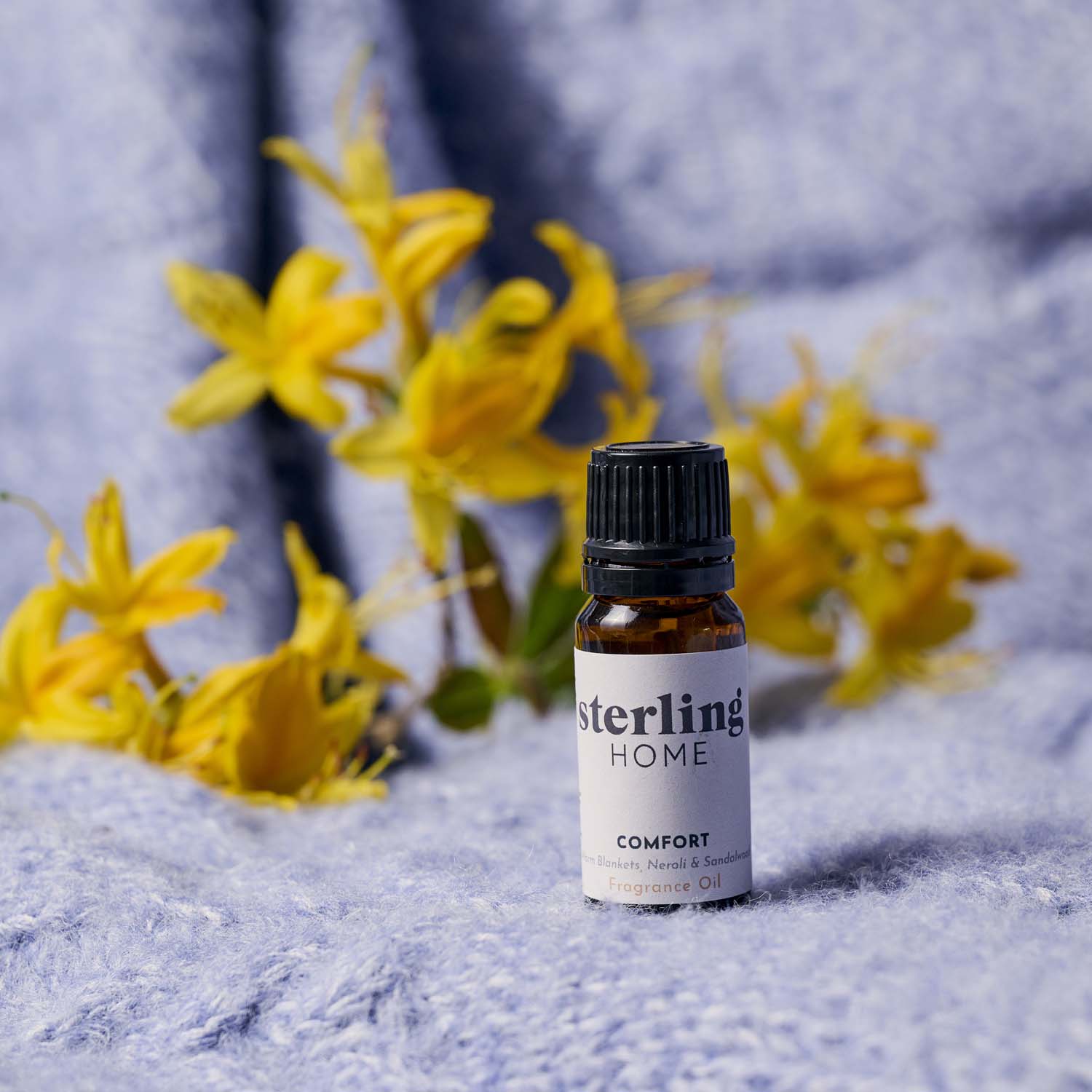 Sterling Home Fragrance Comfort Fragrance Oil - 10mL Fragrance Oil Comfort Accessories Sterling Home 1