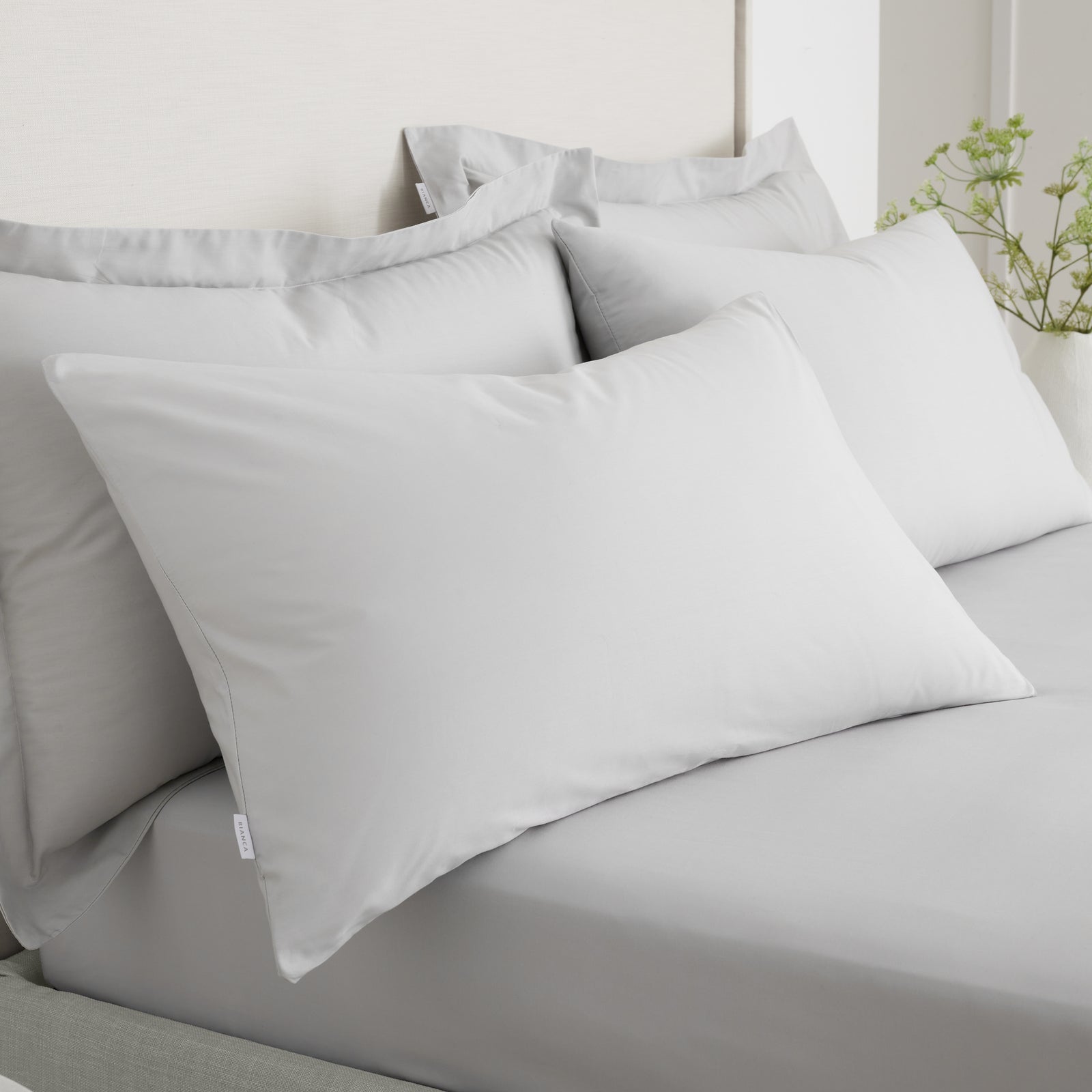 Bianca Percale Grey Standard Pillowcase Pair - 200TC Percale Grey Std Pillowcase Pair Accessories Sterling Home 1