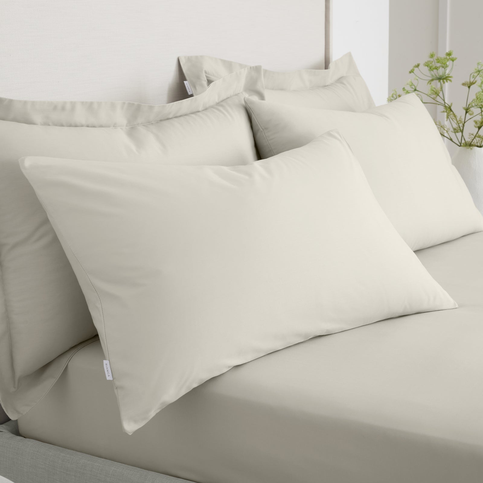 Bianca Percale Cream Standard Pillowcase Pair - 200TC Percale Natural Std Pillowcase Pair Accessories Sterling Home 1
