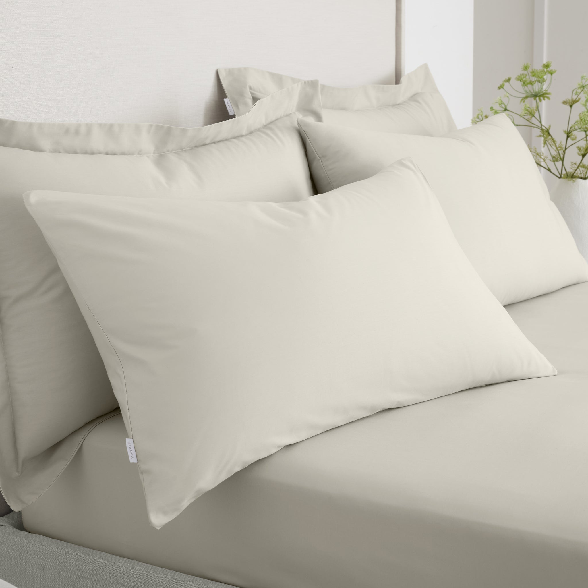 Bianca Percale Cream Pillowcase Pair - 200TC Percale Natural Std Pillowcase Pair Accessories Sterling Home 1