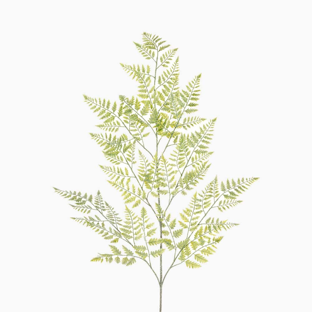 Frosty Fern Grey Artificial Flower Spray - S Frosty Fern Spray 130CM Accessories Sterling Home 1