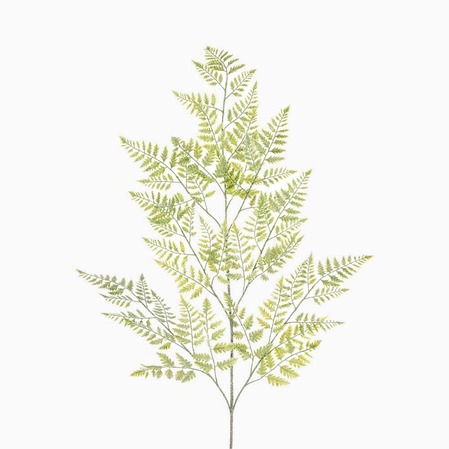 Frosty Fern Grey Artificial Flower Spray - S Frosty Fern Spray 130CM Accessories Sterling Home 1