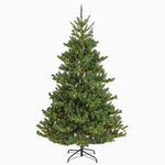 Alba Fir LED Tree - Alba Fir Pre-Lit 210CM Accessories Sterling Home 1
