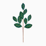 Velvet Magnolia Leaf Green Artificial Flower Spray - C Velvet Magnolia Leaf Spray Green 67CM Accessories Sterling Home 1