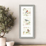 Garden Party Framed Print 22x52Cm - Garden Party Framed Print 22x52Cm