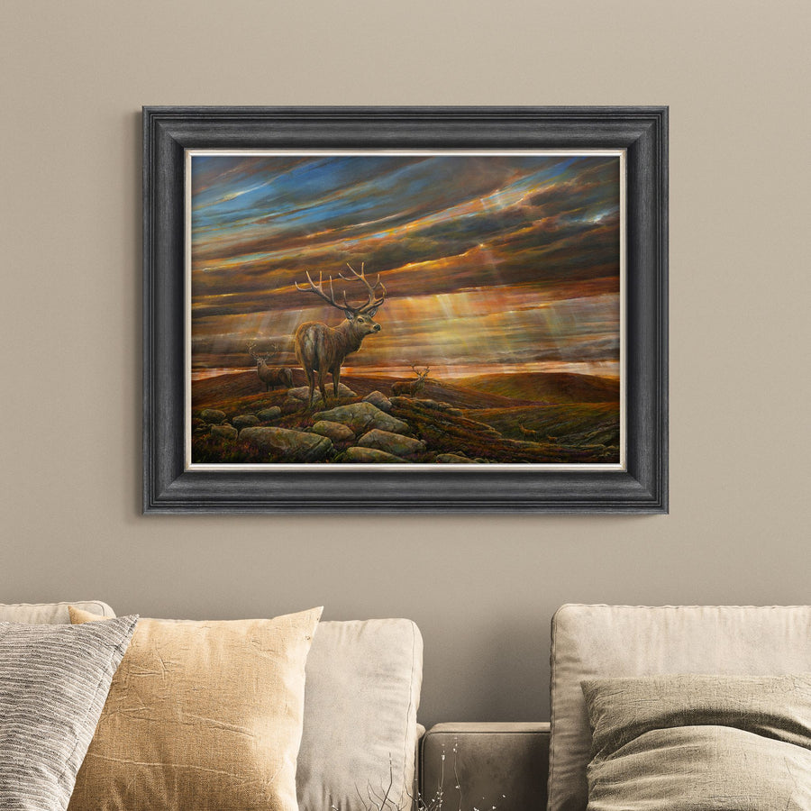 Monarchs Framed Print Sterling Home 1