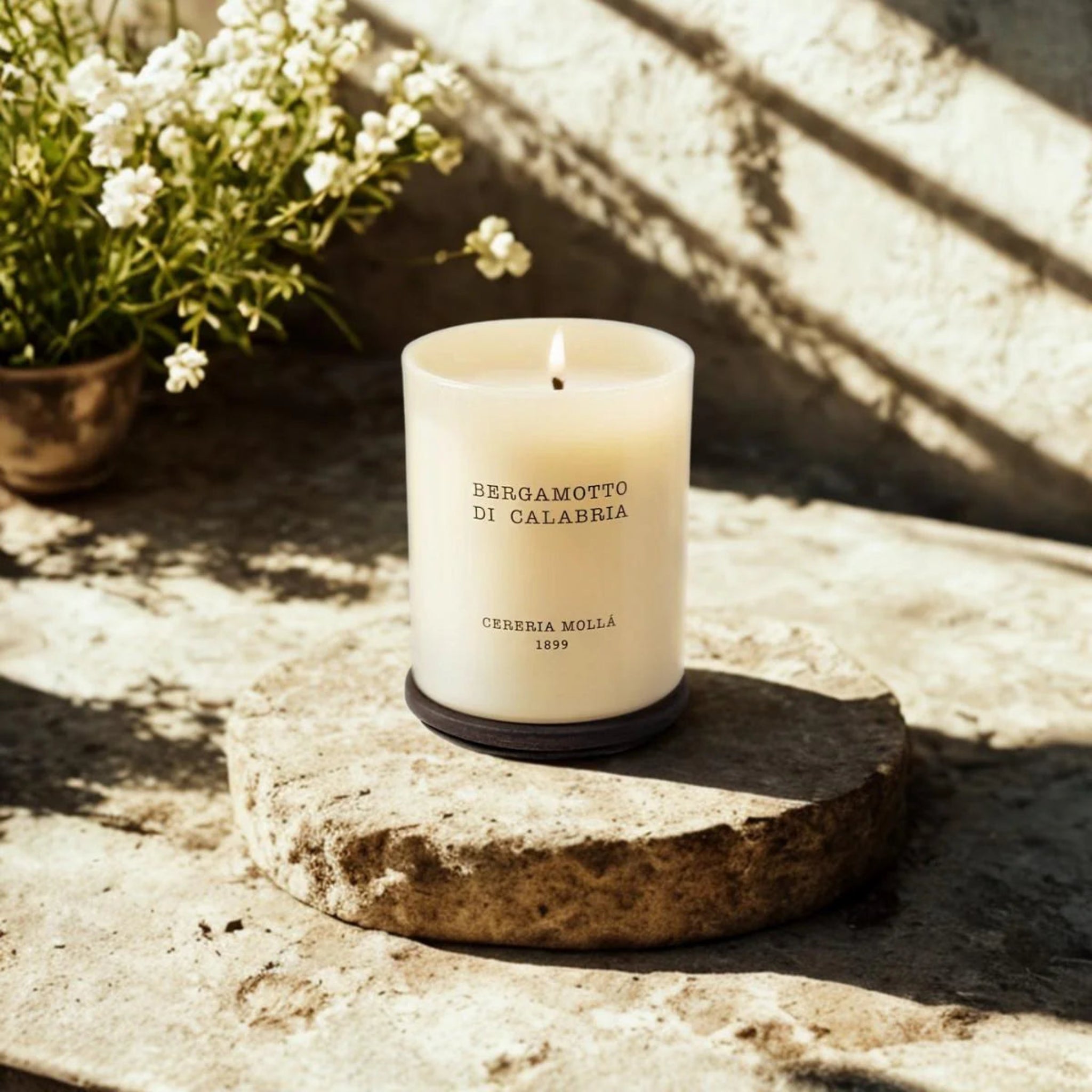 Cereria Molla Bergamotto Di Calabria Candle - Bergamotto di Calabria 230g Candle Sterling Home 1