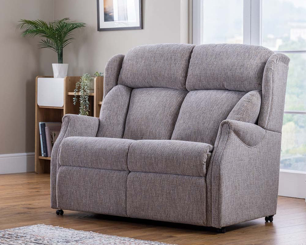 Grey fabric sofa in a living room setting with a rug and plant.