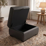 Dino Storage Footstool - Storage footstool BXS Only Footstools Sterling Home 2