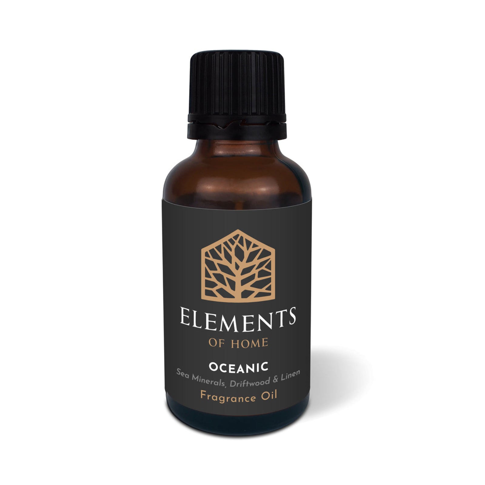 DISC Oceanic 10ml Premium Fragrance Oil Sterling Home 1