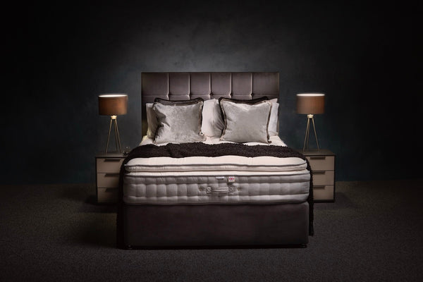 Sealy Elegance Divan Bed Set - P/T Standard Divan Set 150 x 200cm - King Sterling Home 1