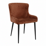 Flare Pair of Rust Dining Chairs - Dining Chair - Pair Rust Sterling Home 2