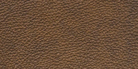CM - Clear Matt / L1102 swatch