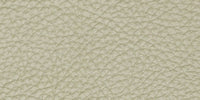 CM - Clear Matt / L1302 swatch