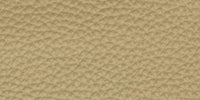 CM - Clear Matt / L1303 swatch