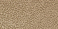 CM - Clear Matt / L1304 swatch