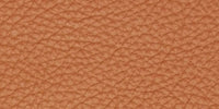 CM - Clear Matt / L1306 swatch