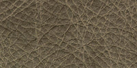 CM - Clear Matt / L1501 swatch