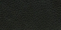 CM - Clear Matt / L1502 swatch