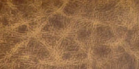 CM - Clear Matt / L1503 swatch