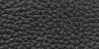CM - Clear Matt / L900 Black swatch