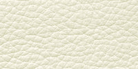 L904 Cream swatch