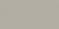 CM - Clear Matt / L906 Grey swatch