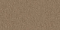 L909 Taupe swatch