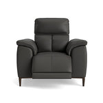 Loma Recliner Armchair Sterling Home 1
