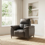 Loma Armchair - Armchair Fabric Sterling Home 2
