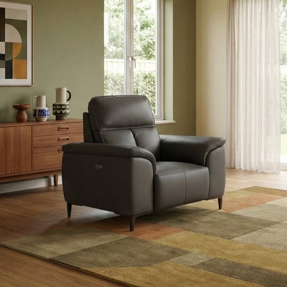 Loma Armchair - Armchair Cat 30F Sterling Home 2