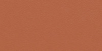 NWS-605D WARM BROWN swatch