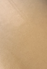 Plush Cream swatch