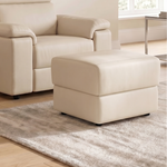 Nicoletti Rossini Storage Footstool - Ottoman Holder CB