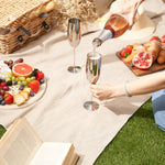 Silver Champagne Flutes 2 Pack - Champagne Flutes Silver 2 Pack Sterling Home 2