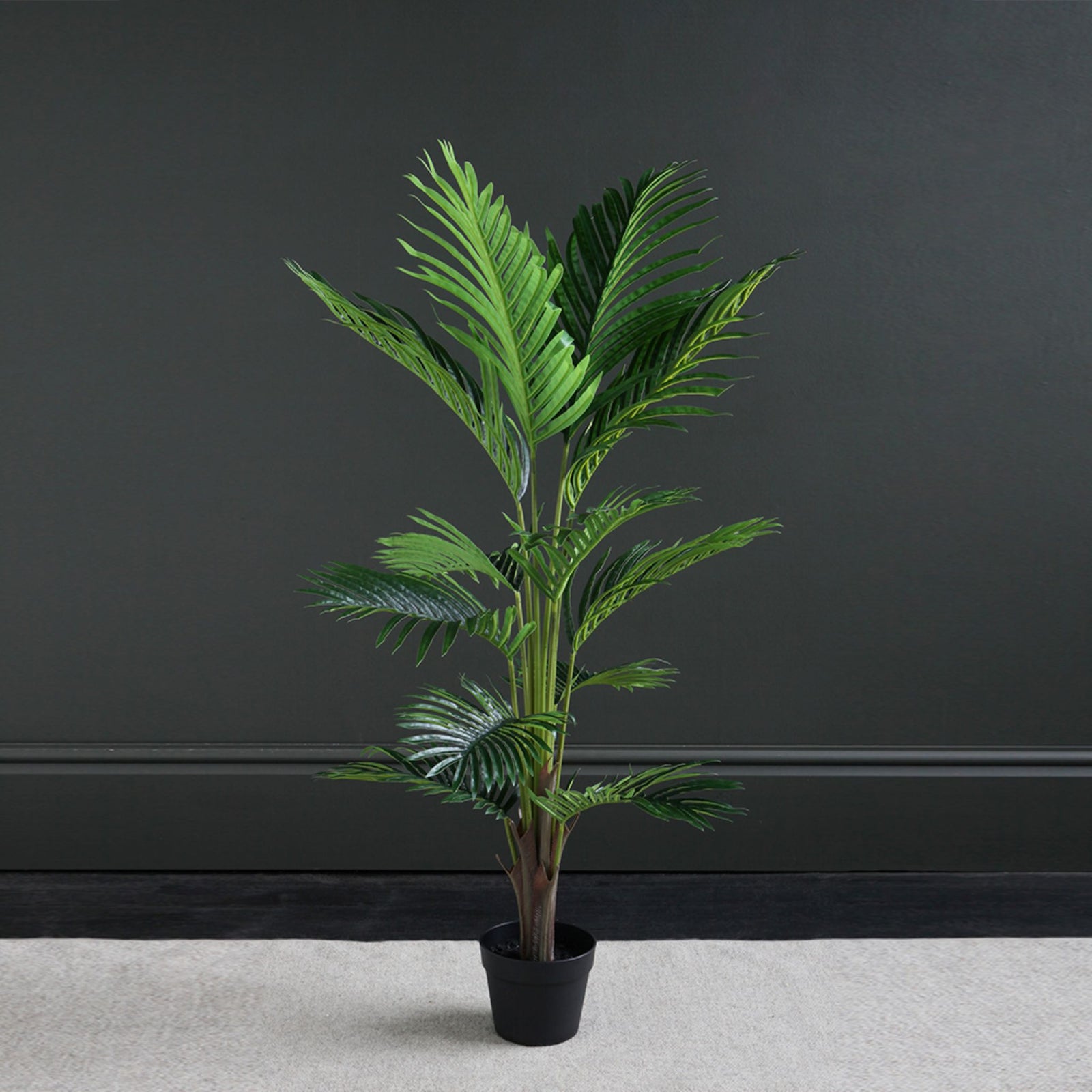 Kwai Tree 120CM - 120CM Kwai Tree