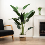 Bird Of Paradise Tree 160CM - 160CM Bird Of Paradise Tree
