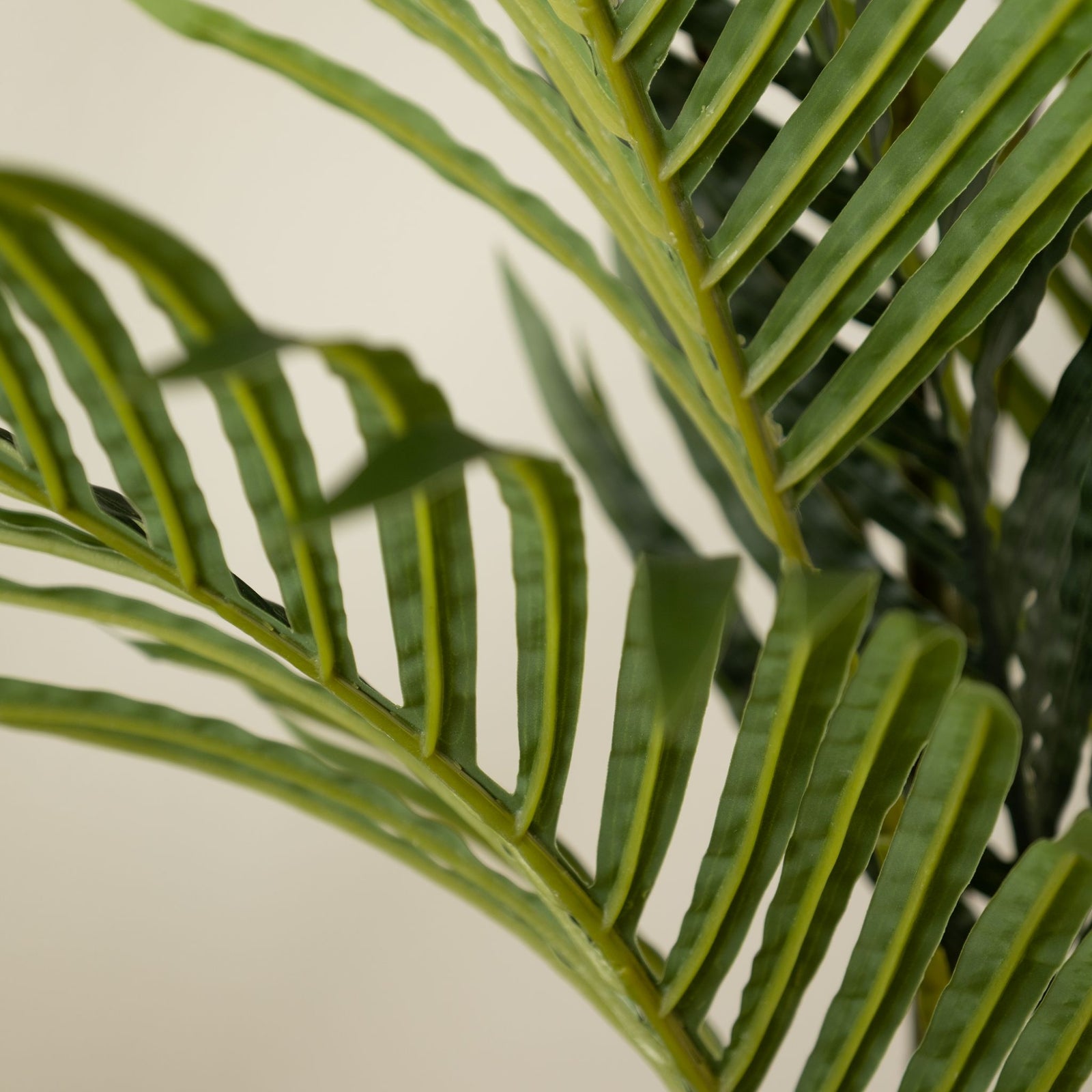 Real Touch Pearl Palm Tree 180CM - 180CM Real Touch Pearl Palm Tree