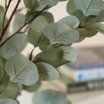 Eucalyptus Tree 150CM - 150CM Eucalyptus Tree