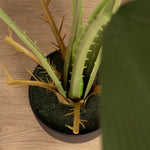 Ruffled Fan Leaf Palm Tree 130CM - 130CM Ruffled Fan Leaf Palm Tree