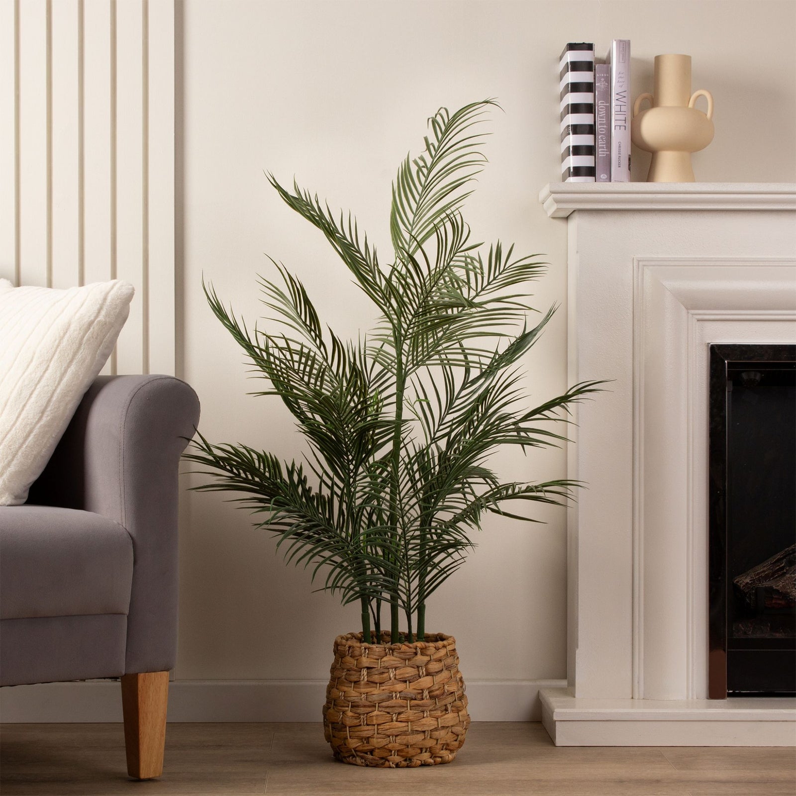 Palm In Basket 100CM - 100CM Palm In Basket