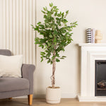 Ficus Tree In Cement Pot 160CM - 160CM Ficus Tree In Cement Pot
