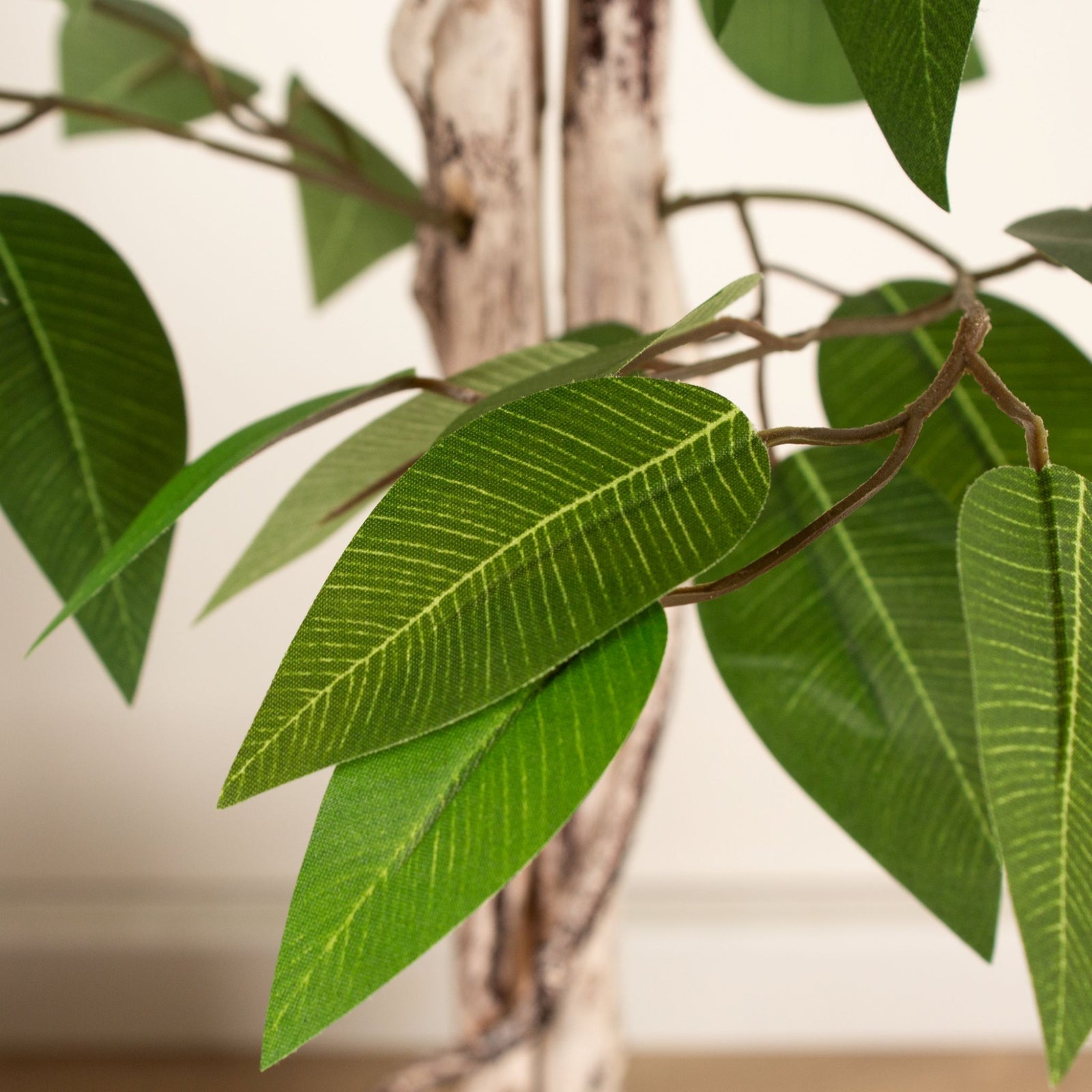 Ficus Tree In Cement Pot 160CM - 160CM Ficus Tree In Cement Pot