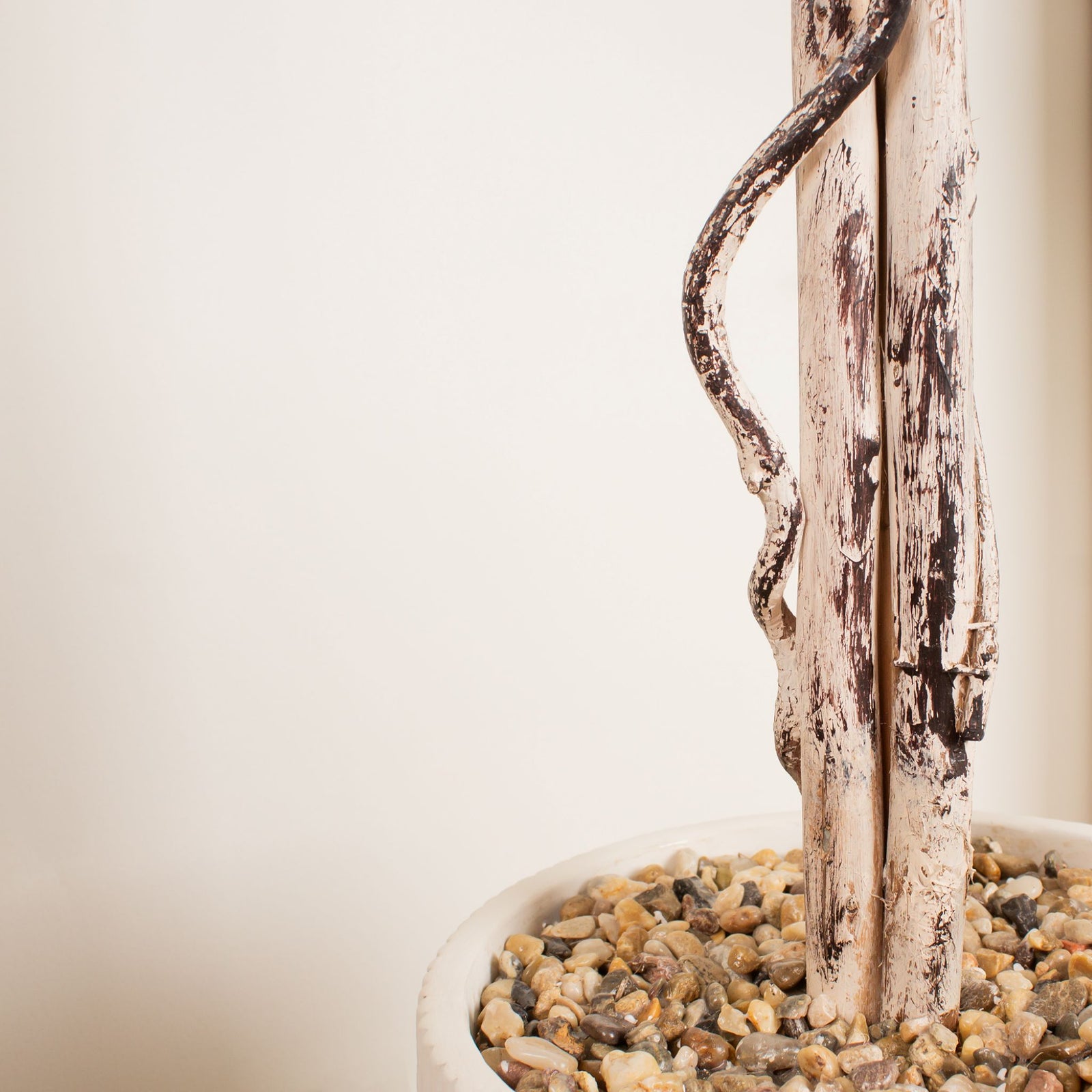 Ficus Tree In Cement Pot 160CM - 160CM Ficus Tree In Cement Pot